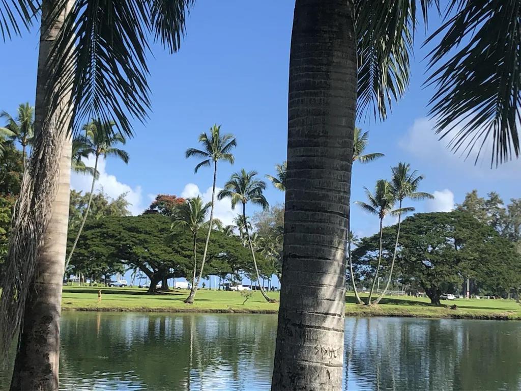 Stunning Views Best Location In Hilo 2Br Modern Condo Exterior foto